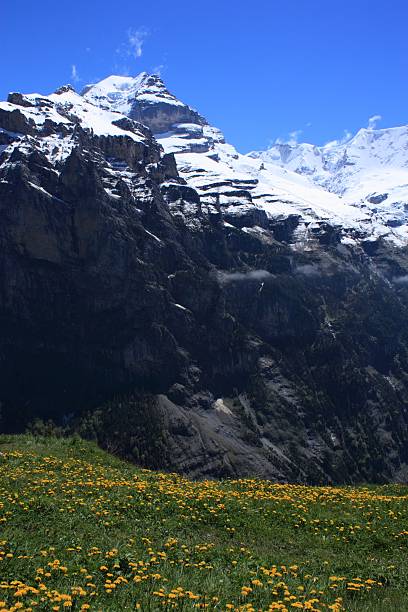 suiza - switzerland interlaken schreckhorn mountain fotografías e imágenes de stock