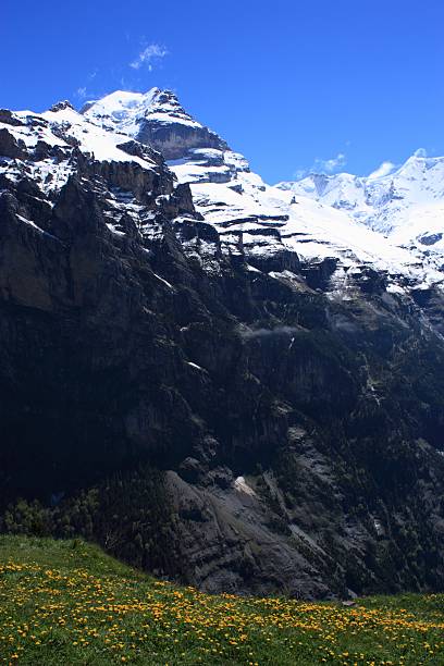 швейцарские альпы - switzerland interlaken schreckhorn mountain стоковые фото и изображения