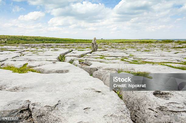 The Burren National Park Kalkstein Landschaft Stockfoto und mehr Bilder von Erodiert - Erodiert, Fels, Fotografie
