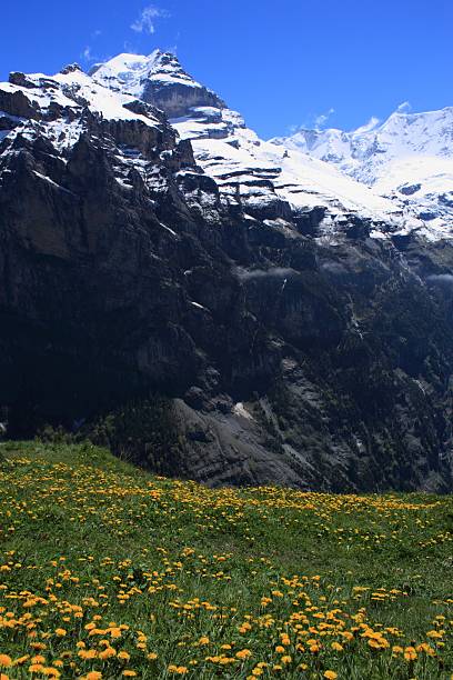 suiza - switzerland interlaken schreckhorn mountain fotografías e imágenes de stock