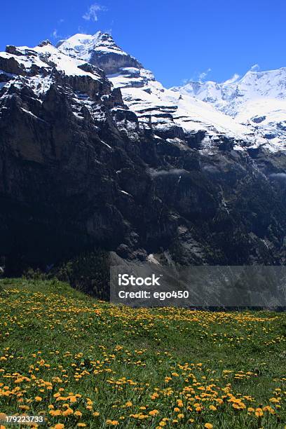 스위스 0명에 대한 스톡 사진 및 기타 이미지 - 0명, 경관, 과꽃