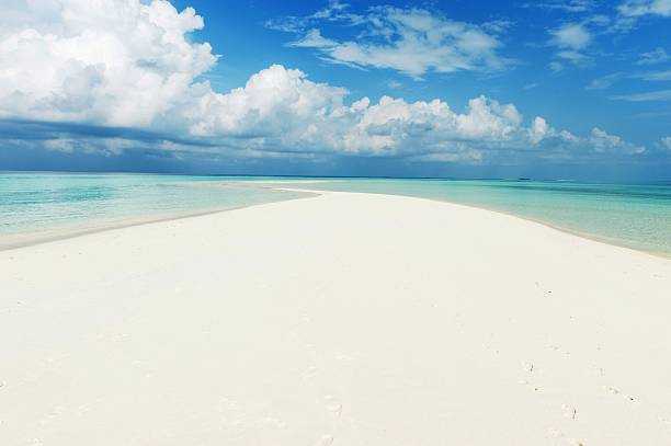 istock beautiful beach with white sand 179223744