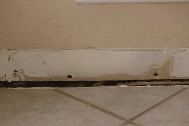 istock Old baseboards removed to install new ones 1792242760