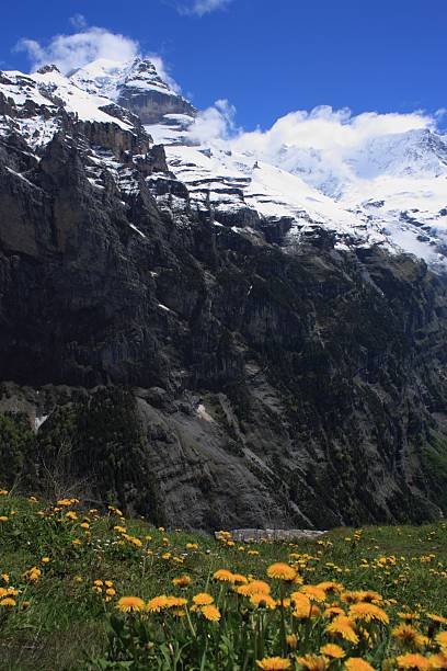 alpes suizos - switzerland interlaken schreckhorn mountain fotografías e imágenes de stock