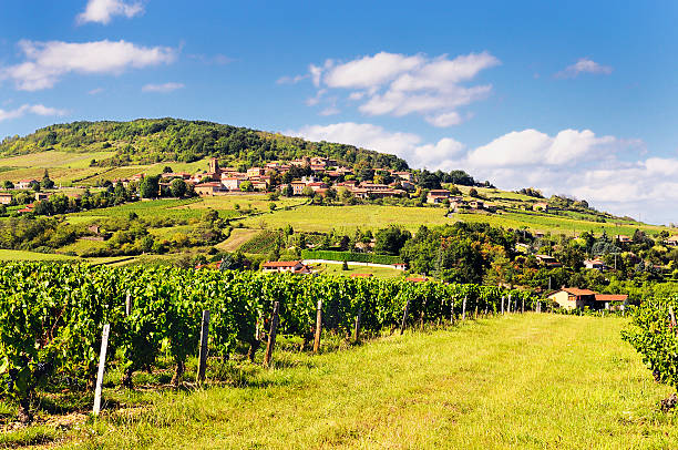 French village and vineyard Medieval golden village called Theizé (Beaujolais / France) beaujolais region stock pictures, royalty-free photos & images