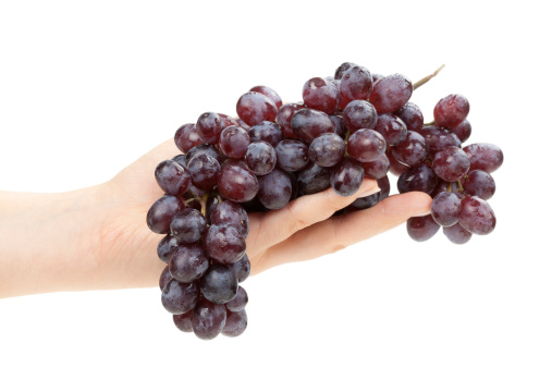 bunch of blue grapes in female hand on white