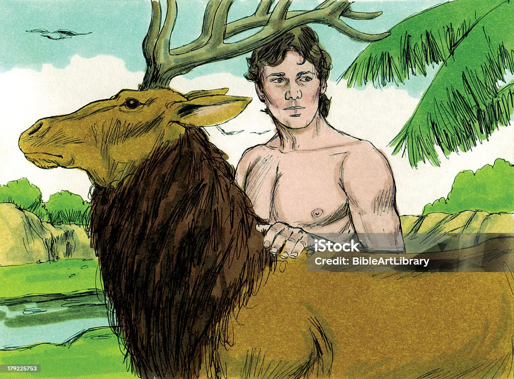 Creation Man And Animals Stock Photo - Download Image Now - Adam - Biblical  Figure, Adult, Beginnings - iStock