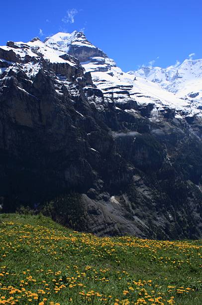 schweizer alpen - schreckhorn stock-fotos und bilder