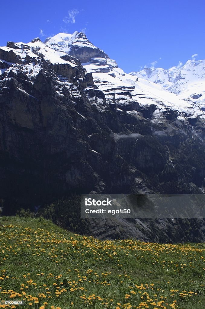 Швейцарские Альпы - Стоковые фото Gimmelwald роялти-фри
