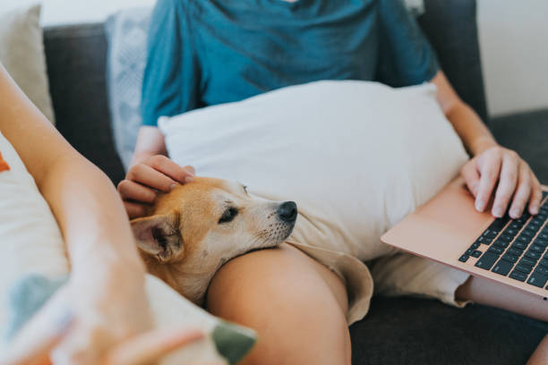 istock A dog laying down his head on its owner's lap 1792259520
