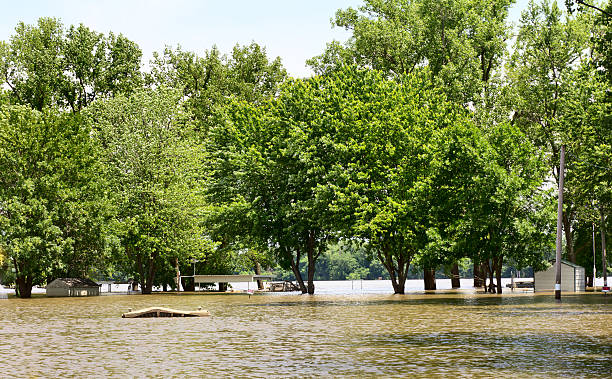 istock Floodwaters along the Mississippi River 179226011