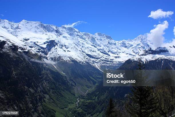 Svizzera - Fotografie stock e altre immagini di Albero - Albero, Alpi, Ambientazione esterna