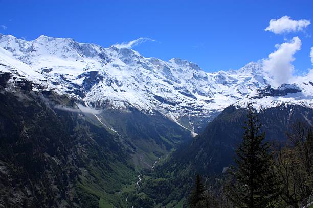 スイス - switzerland european alps schreckhorn horizontal ストックフォトと画��像