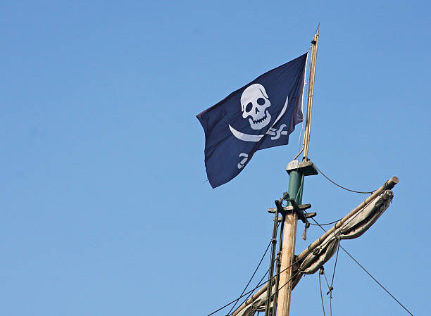 pirate flag on white background