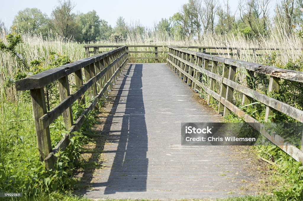 Ponte de Madeira - Royalty-free Ao Ar Livre Foto de stock