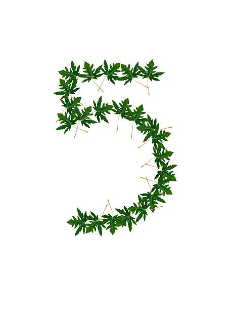 istock Number 5  of green leaves 179228156