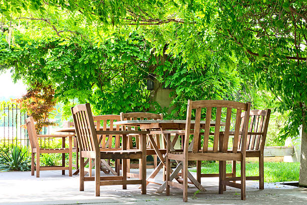 istock Patio and Wysteria Vines 179228514