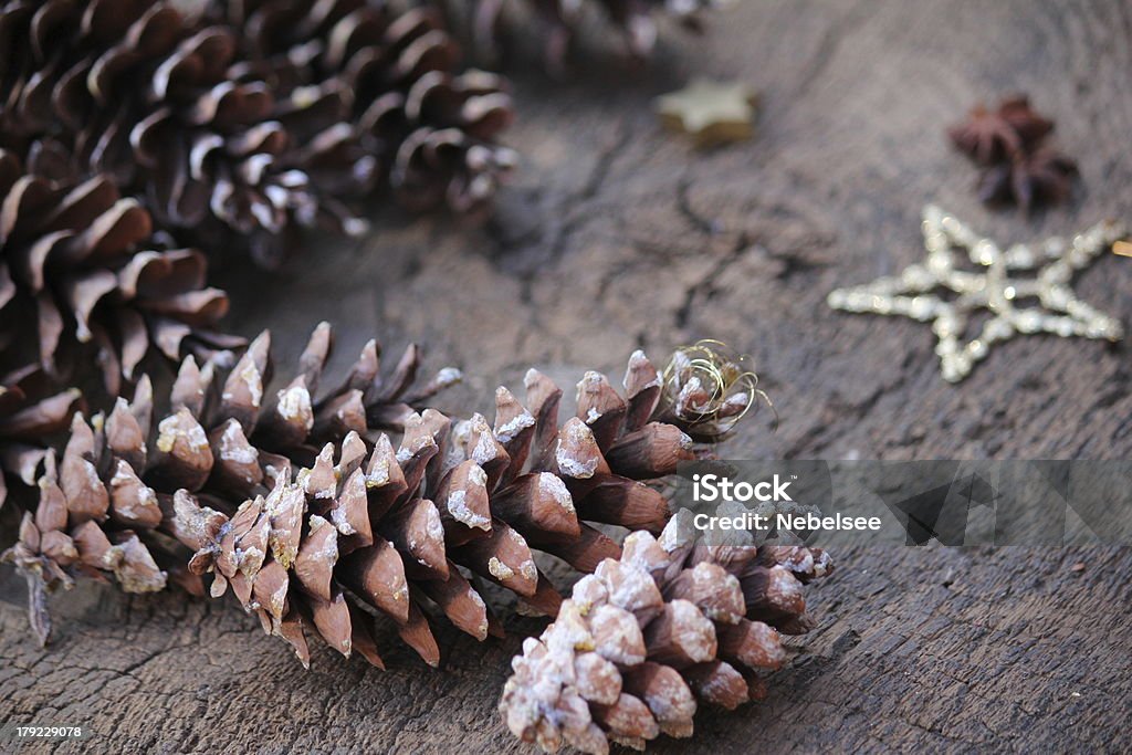 Pinecone Navidad - Foto de stock de Adorno de navidad libre de derechos