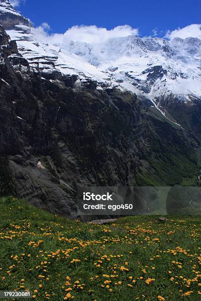 Foto de Alpes Suíços e mais fotos de stock de Alpes europeus - Alpes europeus, Cabeça da flor, Cena Não-urbana
