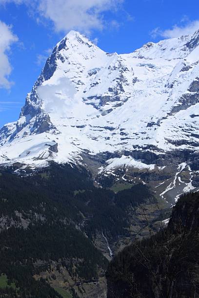 alpes suizos - switzerland interlaken schreckhorn mountain fotografías e imágenes de stock