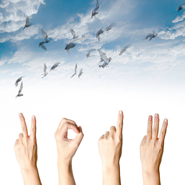 istock new year 2013 abstract with doves flying 179230616