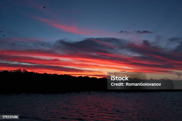 Puesta De Sol Sobre El Mar En Florencia Foto de stock y más banco de imágenes de Agua - Agua, Aire libre, Cielo