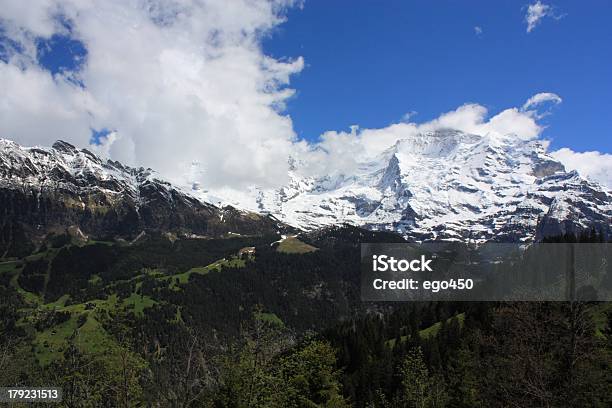 Alpi Svizzere - Fotografie stock e altre immagini di Albero - Albero, Alpi, Ambientazione esterna