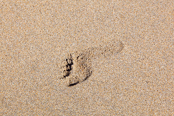 istock human footstep in the sand 179231733