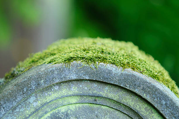jewish cemetery