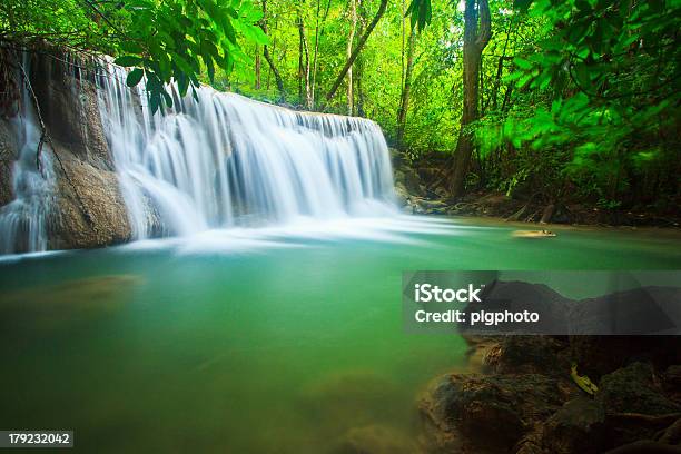 Hermosa Cascada En El Bosque Foto de stock y más banco de imágenes de Agua - Agua, Aire libre, Ajardinado