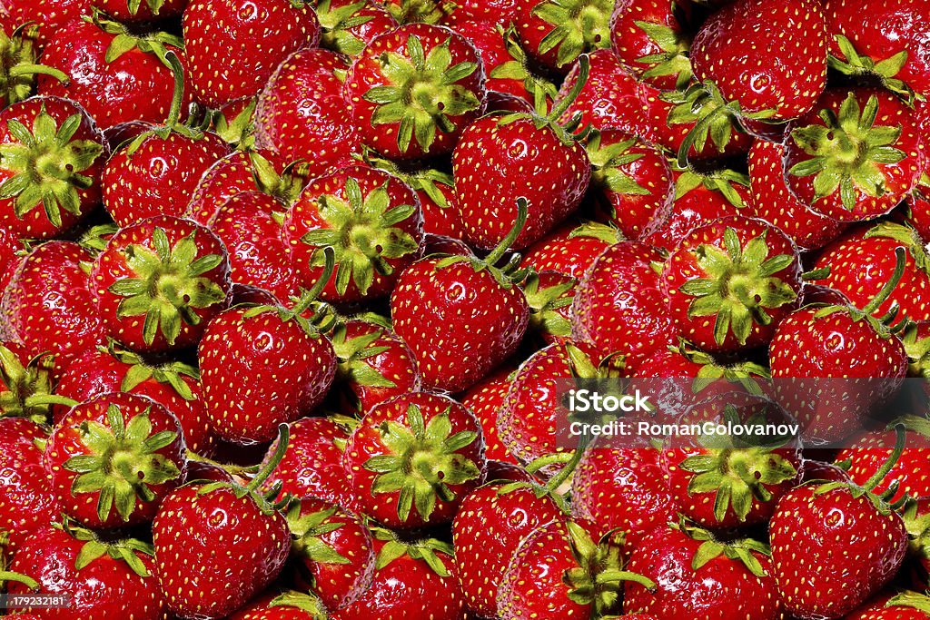 Maduro fresas - Foto de stock de Agricultura libre de derechos