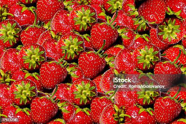 Maduro Fresas Foto de stock y más banco de imágenes de Agricultura - Agricultura, Alimento, Colores