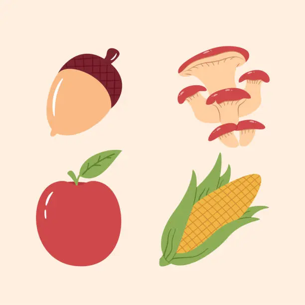 Vector illustration of Apple, Accorn, mushroom, corn flat illustration, harvest autumn illustration