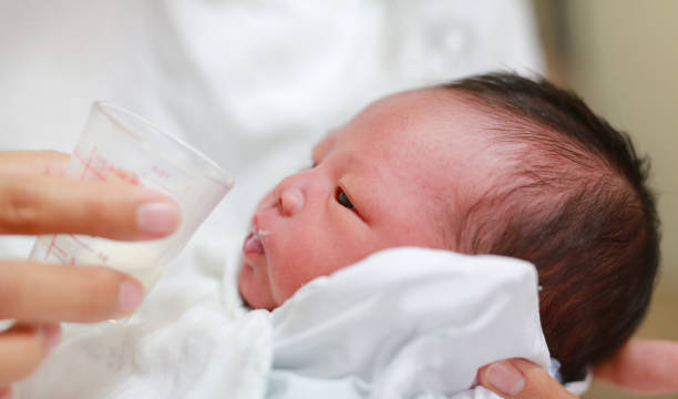 6 лучших кисломолочных смесей для новорожденных в 2025 году 6 лучших кисломолочных смесей для новорожденных в 2025 году