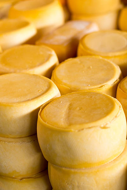 Close-up of white homemade cheese. Homemade cheese on a black background.