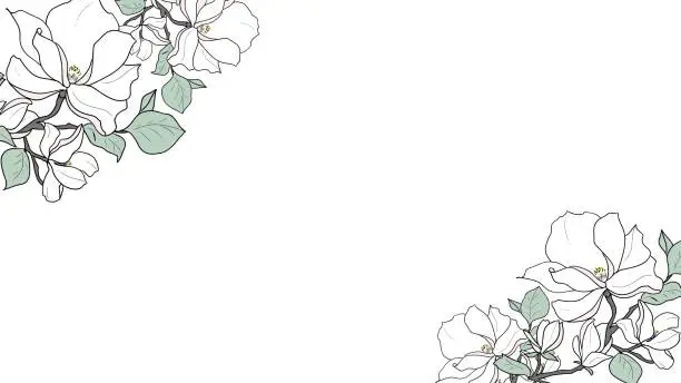 Vector illustration of Light colored magnolia background