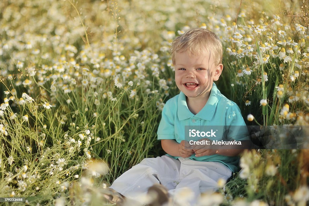 daisies e baby - Foto stock royalty-free di Ambientazione esterna
