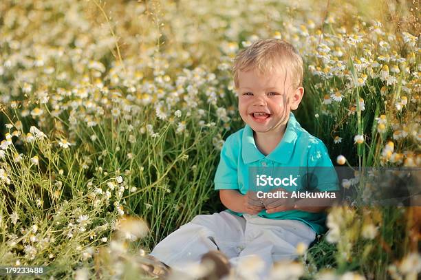 Daisies E Baby - Fotografie stock e altre immagini di Ambientazione esterna - Ambientazione esterna, Bambini maschi, Bambino