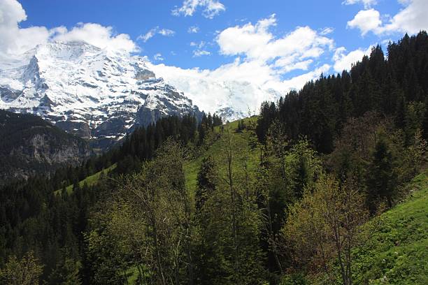 suíça - schreckhorn - fotografias e filmes do acervo