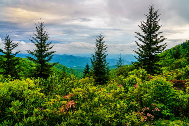 istock Smokies overlook 1792339514
