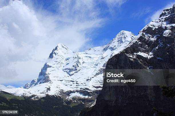 Svizzera - Fotografie stock e altre immagini di Alpi - Alpi, Ambientazione esterna, Aster