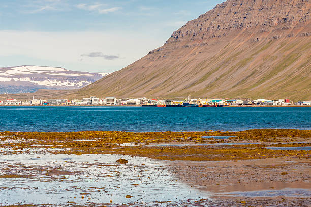 istock View on Isafjordur town - Iceland. 179234203