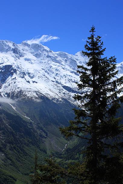 швейцарские альпы - switzerland interlaken schreckhorn mountain стоковые фото и изображения