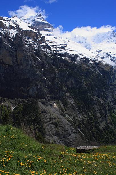 suiza - switzerland interlaken schreckhorn mountain fotografías e imágenes de stock