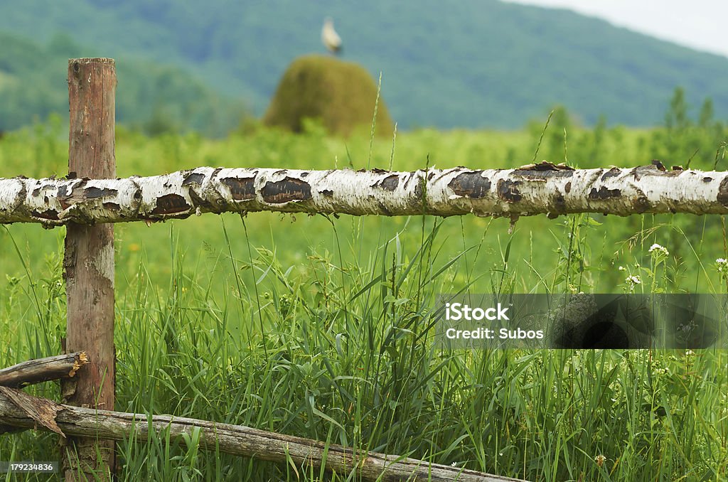 Clôture en bois - Photo de Aile d'animal libre de droits