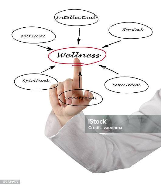 Diagramm Des Wellness Stockfoto und mehr Bilder von Arbeit und Beschäftigung - Arbeit und Beschäftigung, Arbeiten, Arrangieren