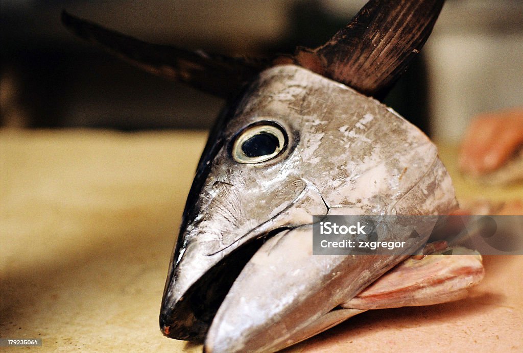 Fish head "Fish shop, Croatia." Animal Body Part Stock Photo