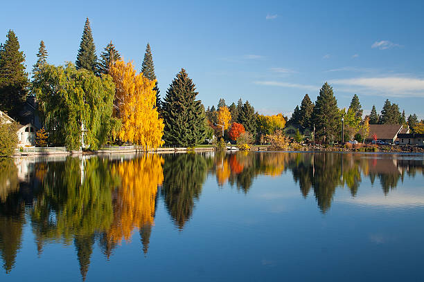 árboles y edificios refleja en el lago - orange sauce fotografías e imágenes de stock