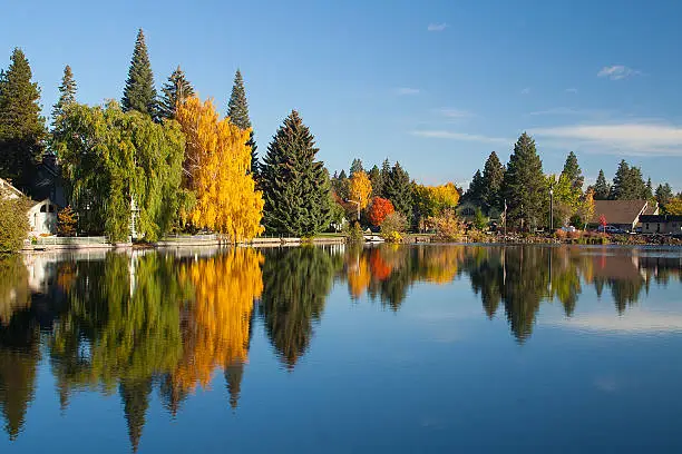 Photo of Trees and buildings reflected in lake