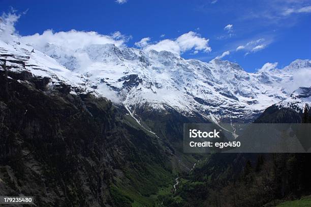 Alpi Svizzere - Fotografie stock e altre immagini di Alpi - Alpi, Ambientazione esterna, Aster
